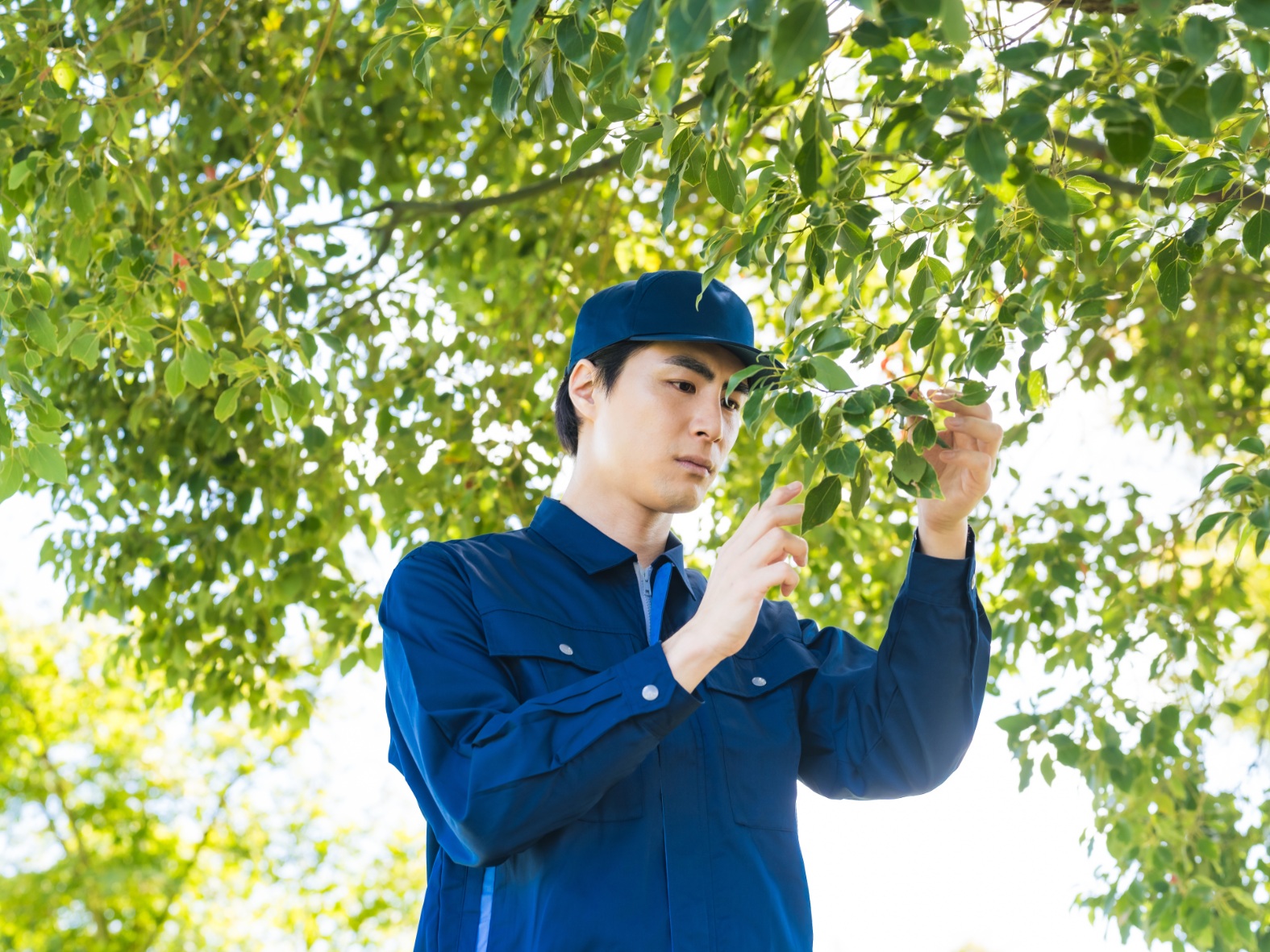 AdobeStock_1102709313